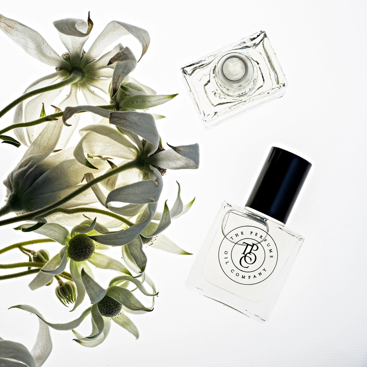 The Perfume Oil Company -SPRITZ - Inspired by Acqua Di Gioia (Giorgio Armani)